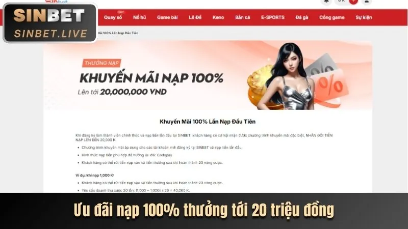 Minh họa liên kết với bên thứ ba và chính sách cookie của họ